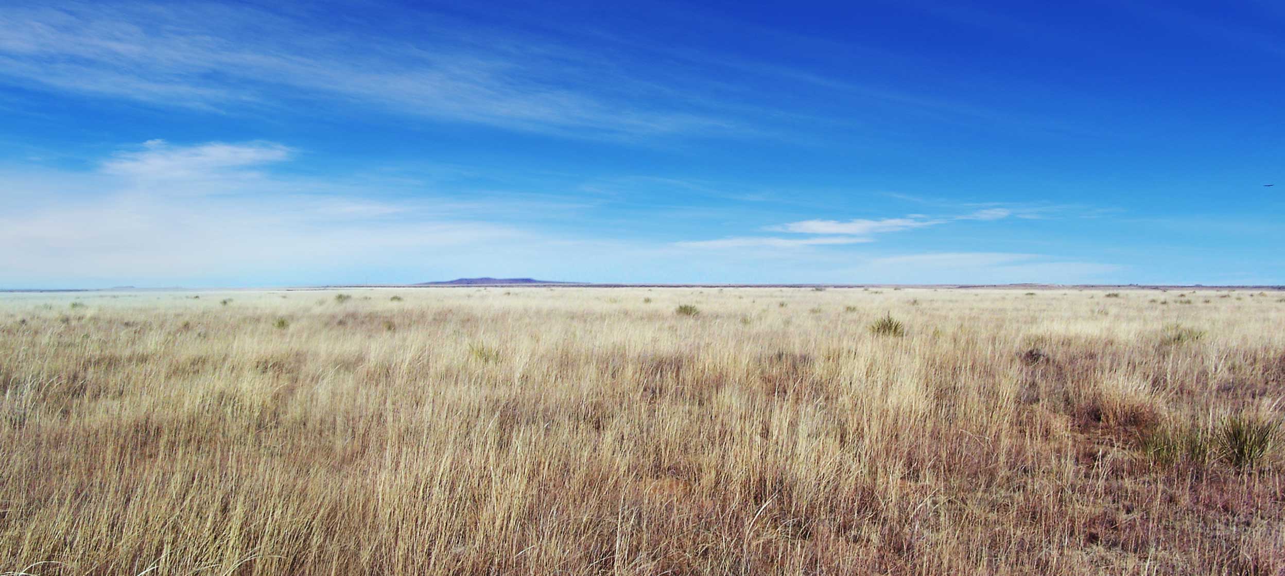 Sand Arroyo Ranch, Union County New Mexico